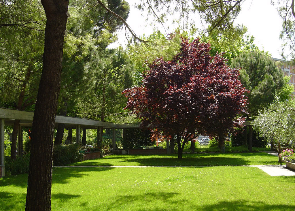 Giardino Interno Con Porticato